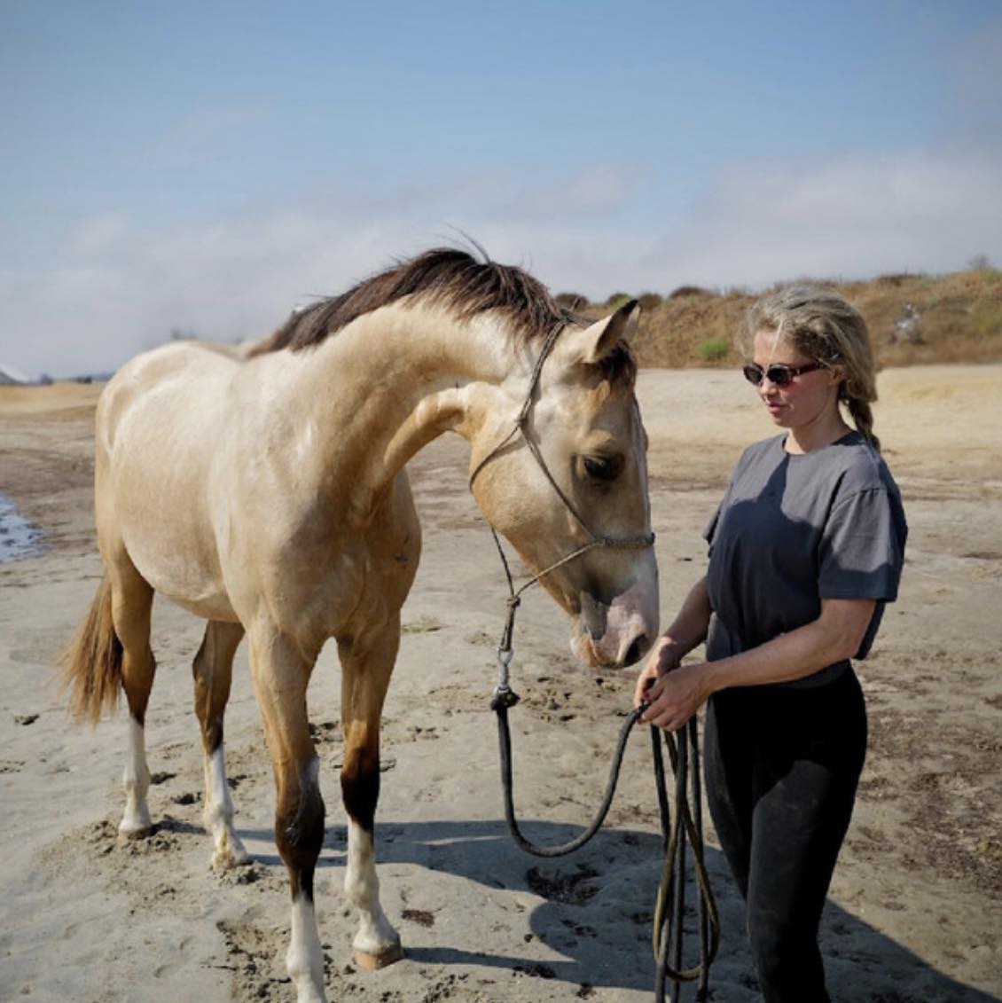 buckskin-horse-on-beach-with-woman