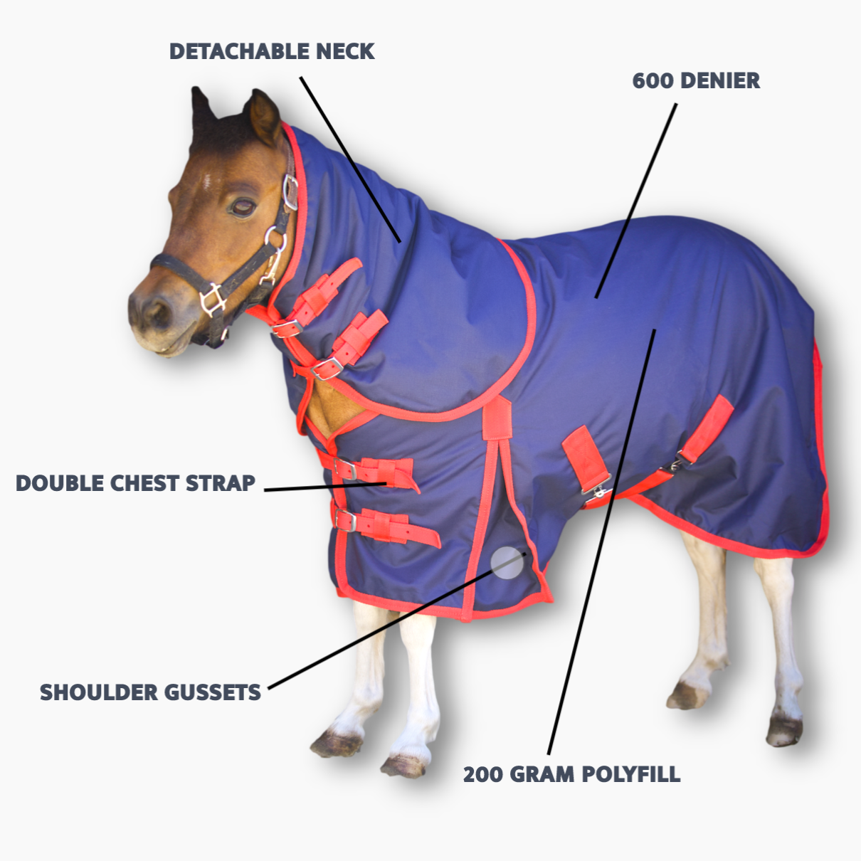horse-rugs-australia