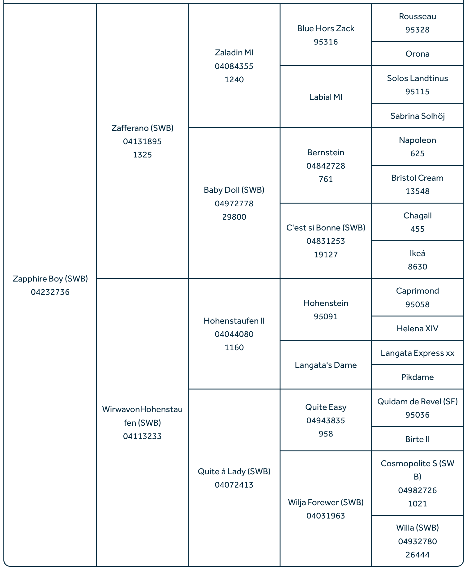 Stallion 'Zapphire' Horse Semen